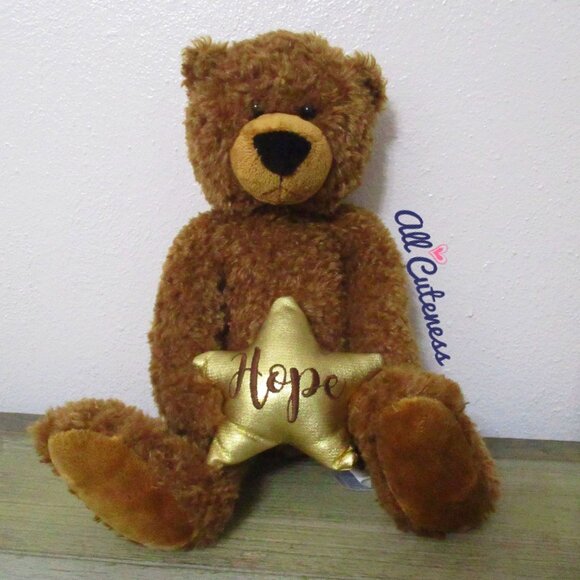 Hope Star Teddy Bear Plush - Picture 1 of 8
